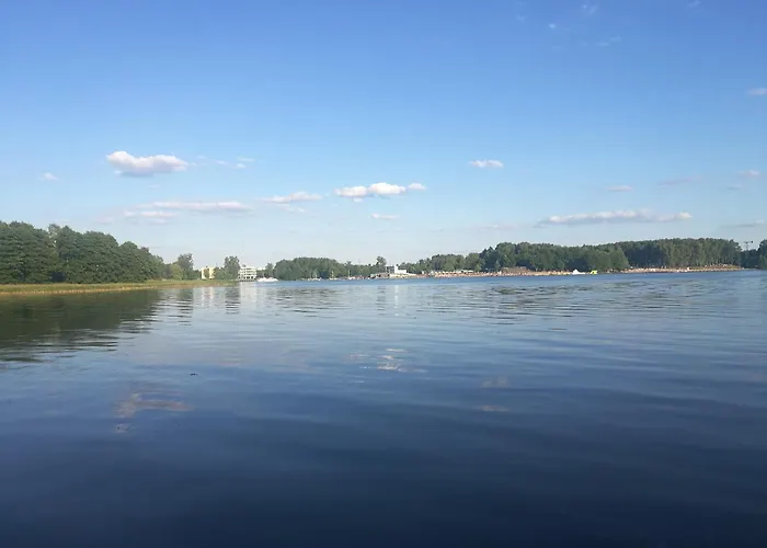 Widok
