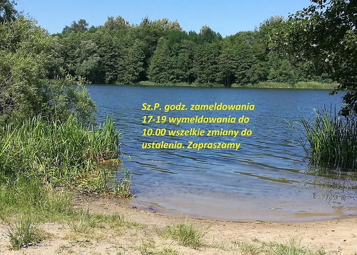 Widok